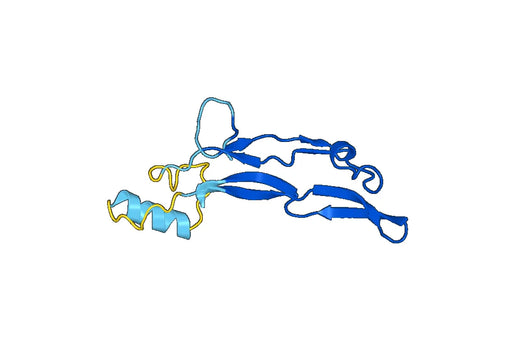 Inhibin beta B chain(INHBB)