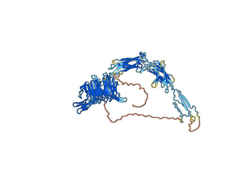Integrin_alpha2 domain-containing protein(ITGA2B)