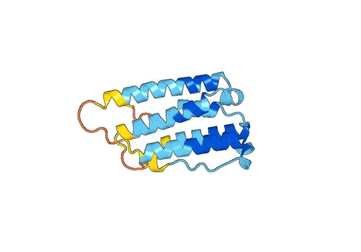 Interferon alpha