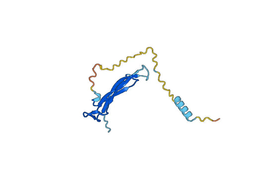Interleukin-17A(IL17A)
