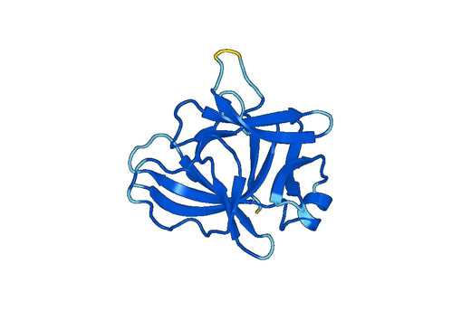 Interleukin-18(IL18)
