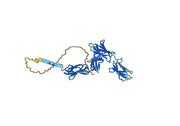 Interleukin-31 receptor subunit alpha(IL31RA)