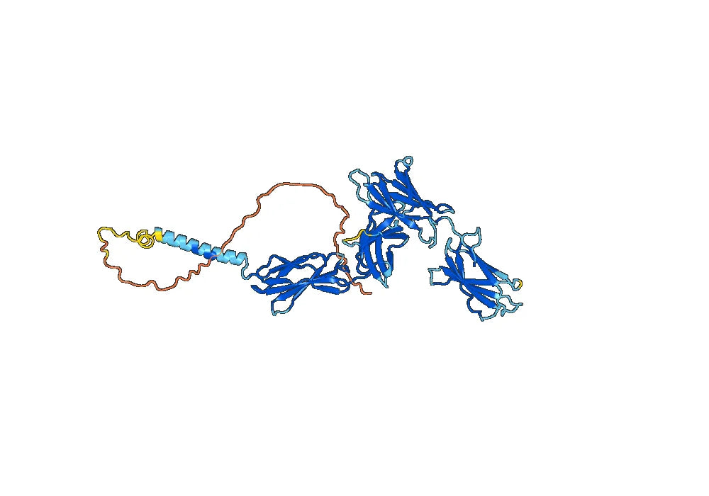 Interleukin-31 receptor subunit alpha(IL31RA)