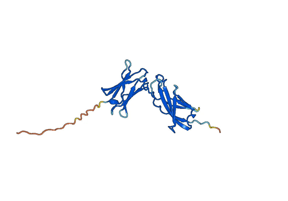 Interleukin-4 receptor subunit alpha(IL4R)