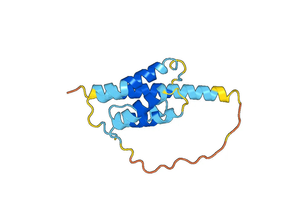 Interleukin-7(IL7)