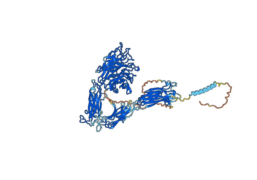 Intetumumab Biosimilar - Anti-ITGAV_ITGB3 mAb - Research Grade