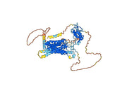 Ipafricept Biosimilar - Anti-Wnt fusion protein - Research Grade