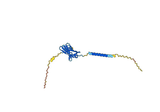 Ipilimumab ELISA Kit