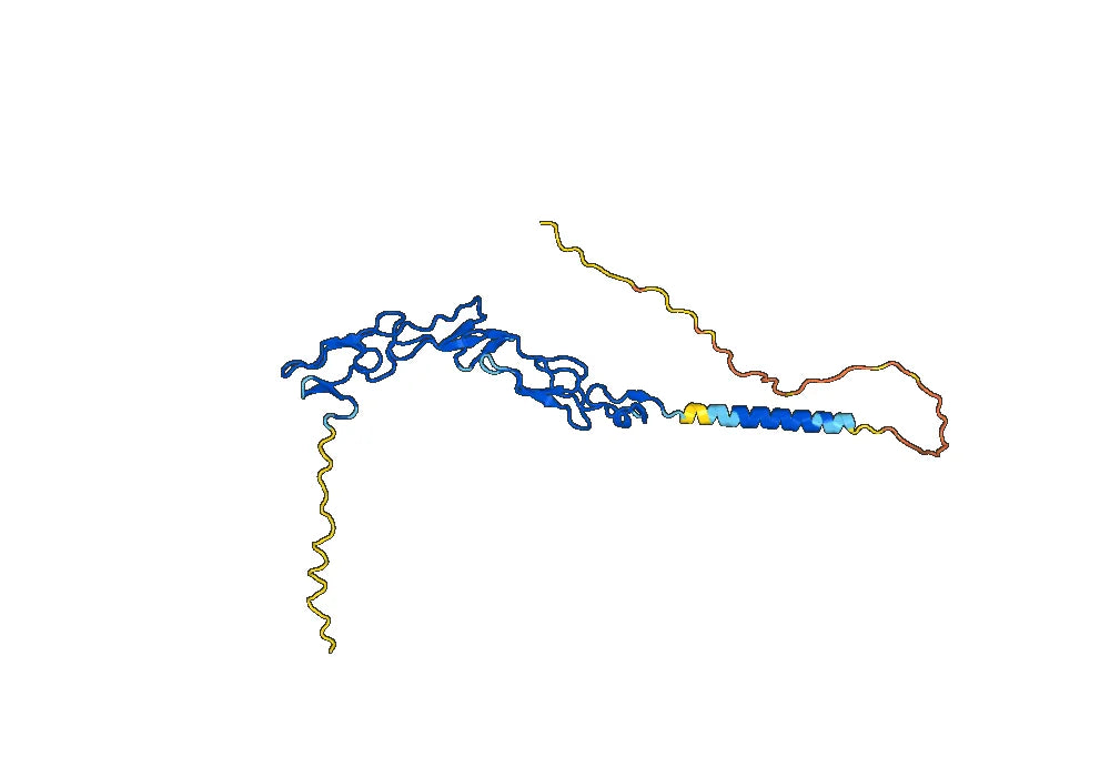 Iscalimab Biosimilar - Anti-CD40, TNFRSF5 mAb - Research Grade