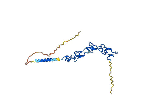 Iscalimab ELISA Kit