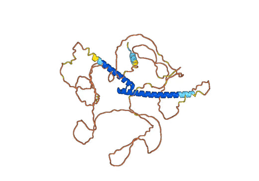 Isoform SREBP-1C of Sterol regulatory element-binding protein 1