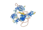 Istiratumab Biosimilar - Anti-ERBB3, IGF1R, CD221 mAb - Research Grade