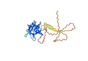Itepekimab Biosimilar - Anti-IL33 mAb - Research Grade