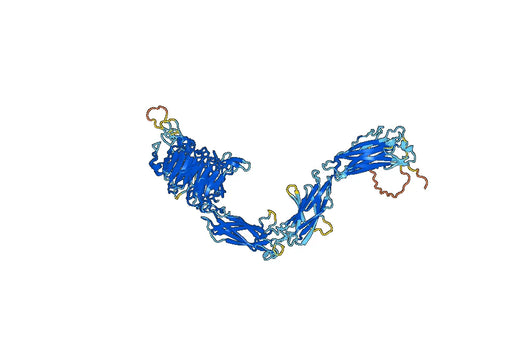ITGA5 recombinant protein