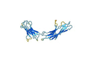 ITGAL recombinant protein