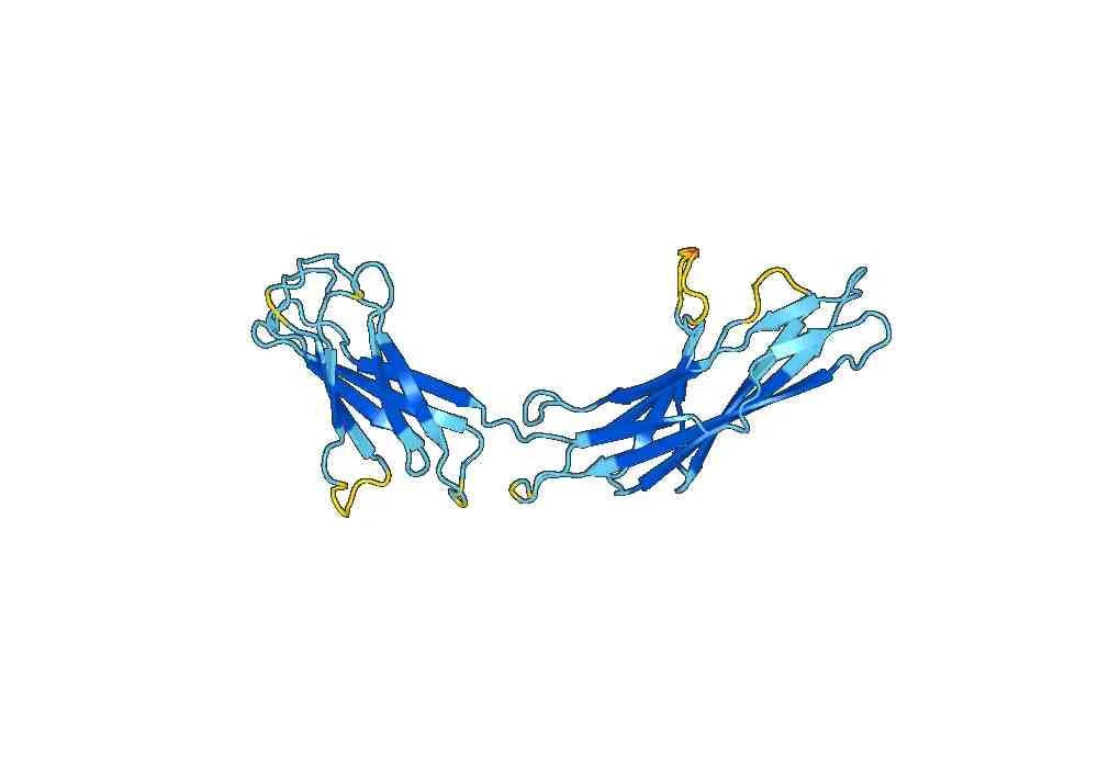 ITGAL recombinant protein