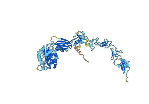 ITGB2 recombinant protein