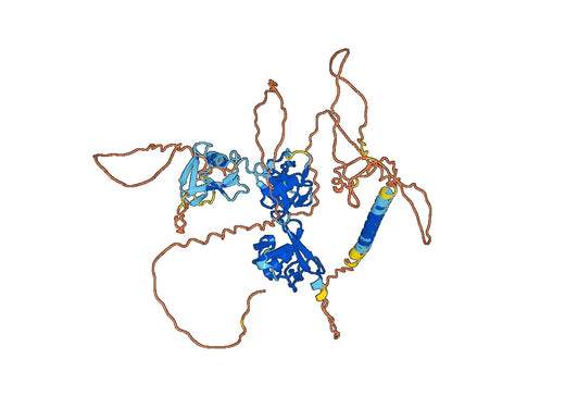 Itolizumab ELISA Kit