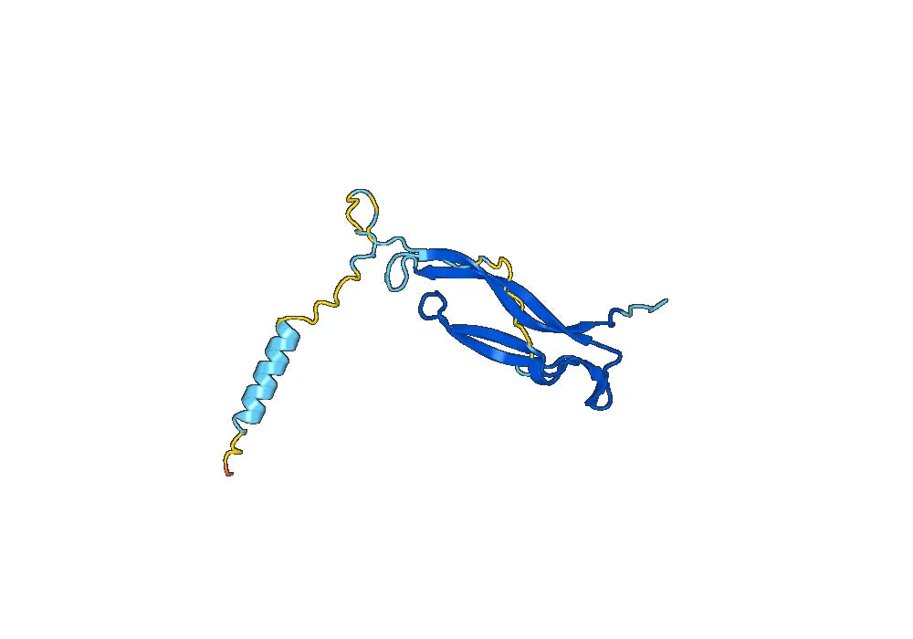 Ixekizumab Biosimilar - Anti-IL17A mAb - Research Grade