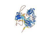 Izalontamab Biosimilar - Anti-EGFR;ERBB3 mAb - Research Grade