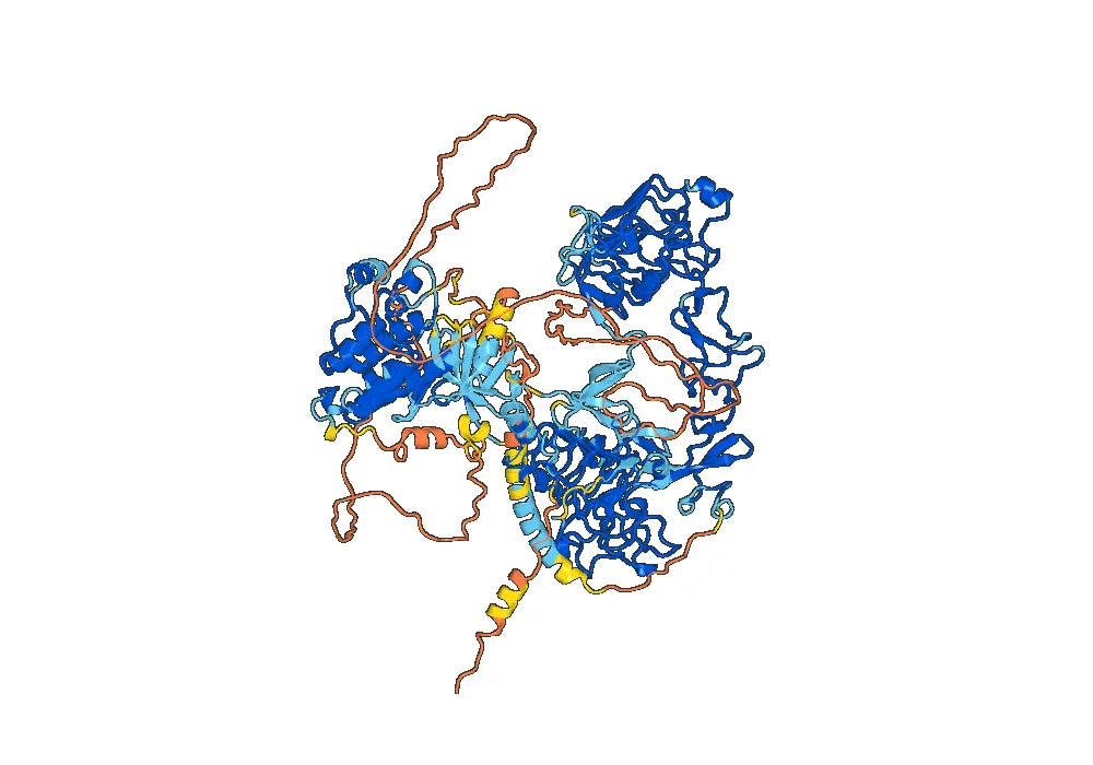 Izalontamab Biosimilar - Anti-EGFR;ERBB3 mAb - Research Grade