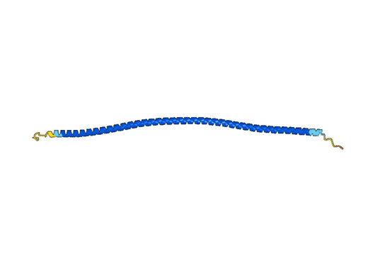 KRT18, N-His, recombinant protein