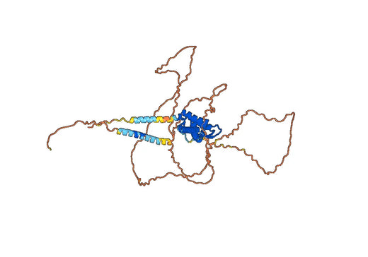 Lacnotuzumab ELISA Kit