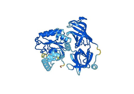 Leishmania P74 Recombinant Protein