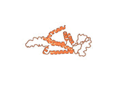 Lenvervimab Biosimilar - Anti-HBV mAb - Research Grade
