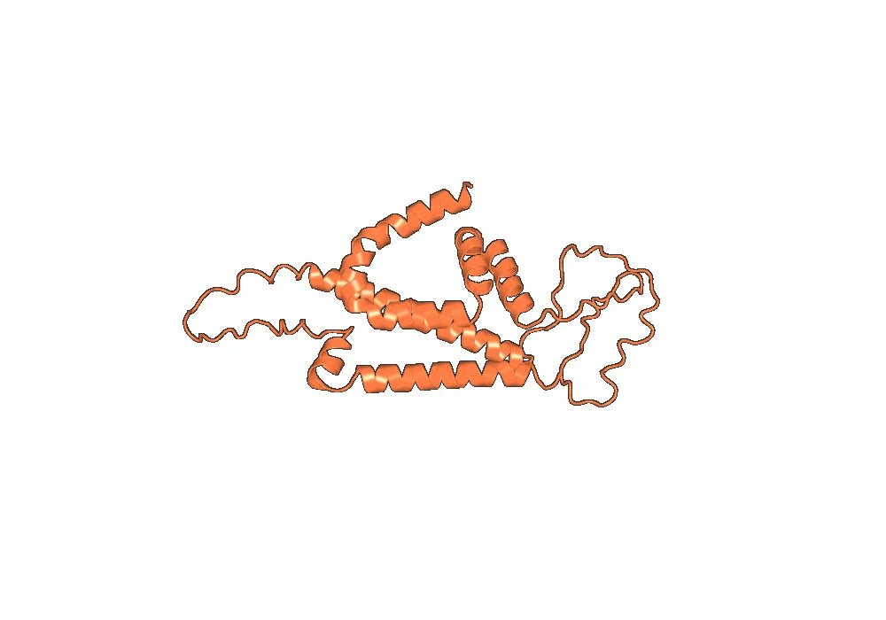 Lenvervimab Biosimilar - Anti-HBV mAb - Research Grade