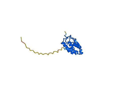 Lenzilumab ELISA Kit