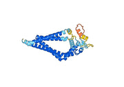 Lilotomab Biosimilar - Anti-CD37 mAb - Research Grade