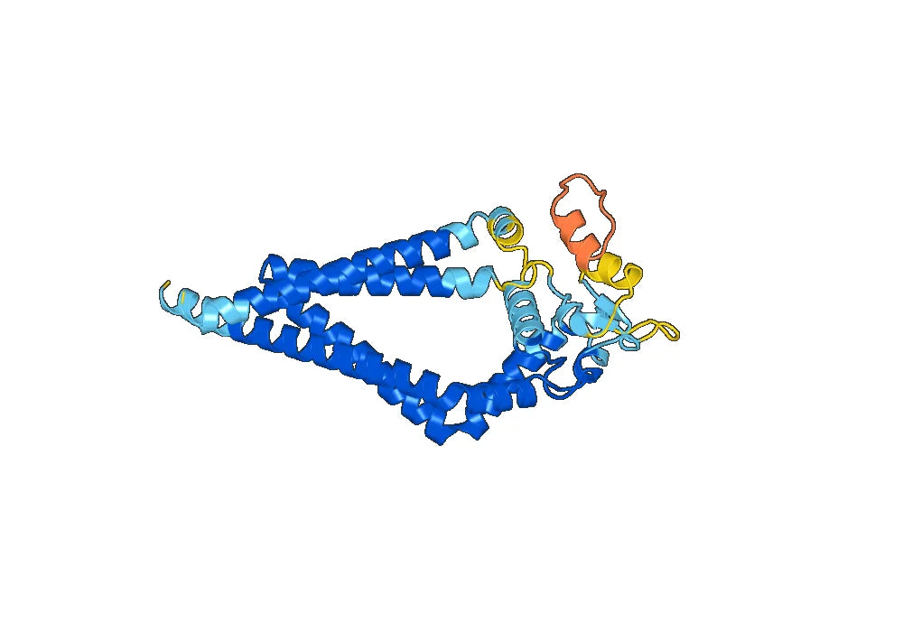 Lilotomab Biosimilar - Anti-CD37 mAb - Research Grade