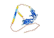 Lirilumab Biosimilar - Anti-KIRD2 subgroup mAb - Research Grade