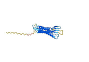 Lixudebart Biosimilar - Anti-CLDN1 mAb - Research Grade