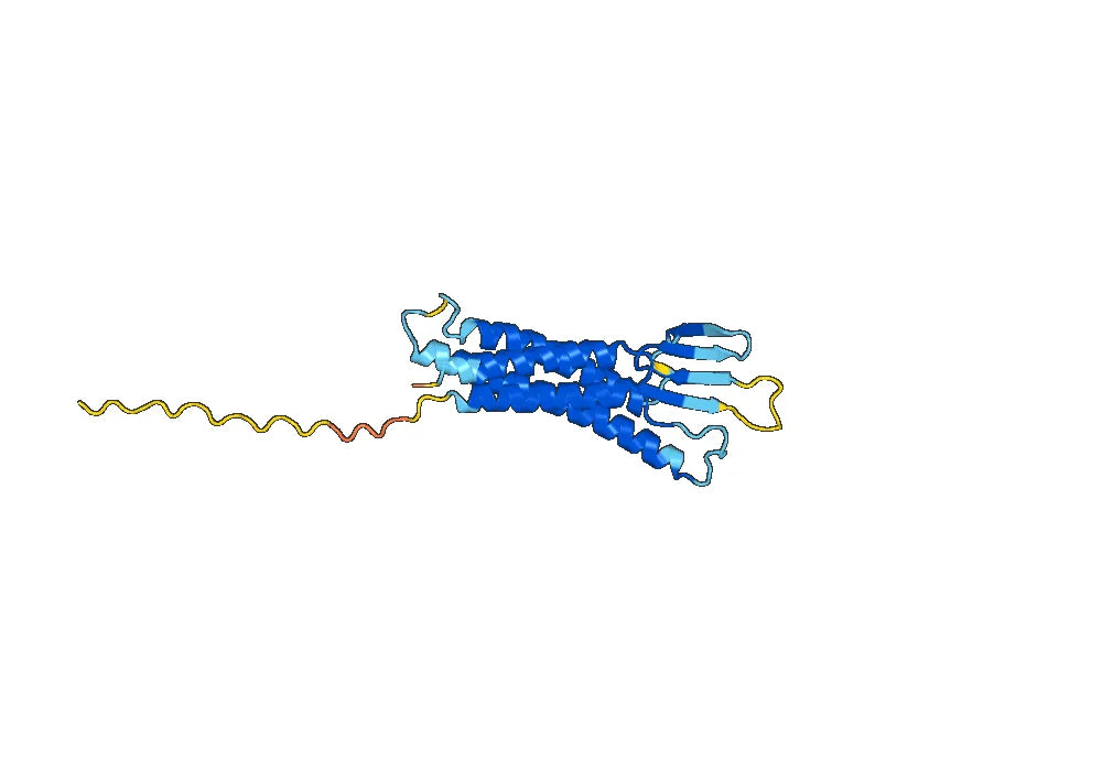 Lixudebart Biosimilar - Anti-CLDN1 mAb - Research Grade