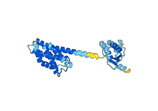 Lmo0161 protein(lmo0161)