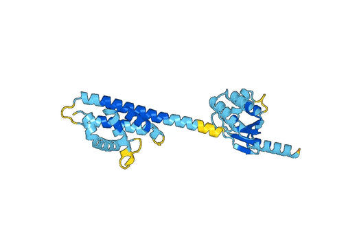 Lmo1842 protein(lmo1842)