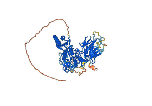 Lodelcizumab ELISA Kit