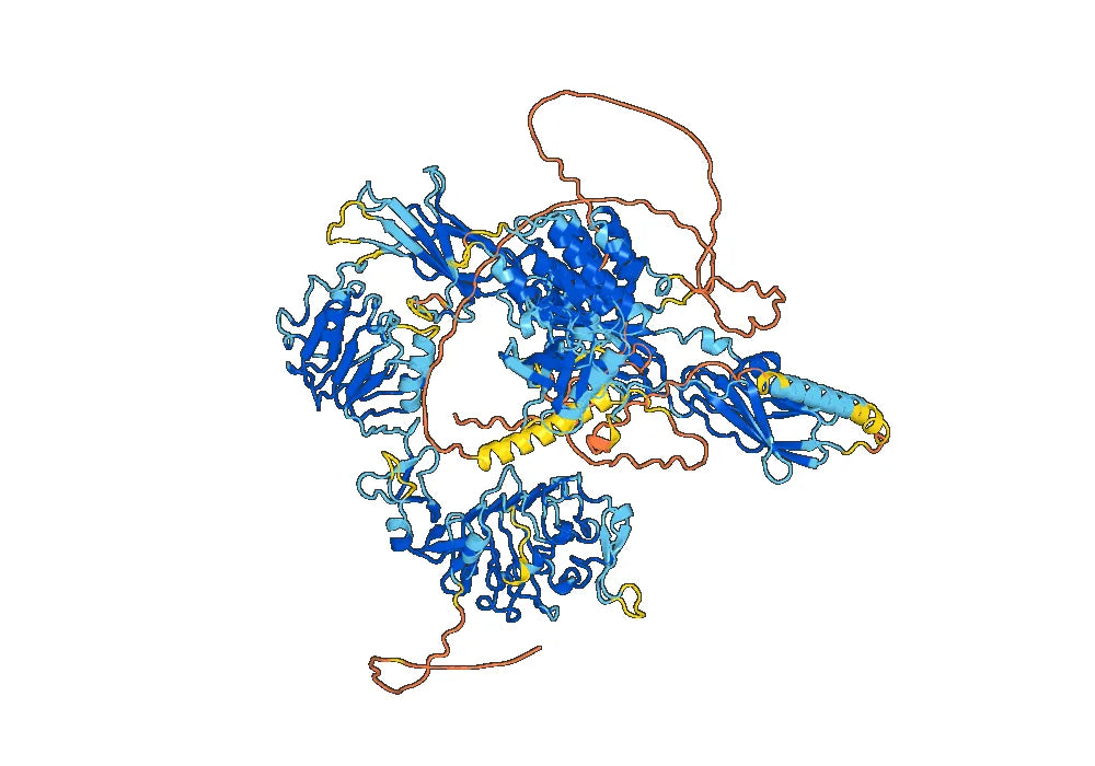 Lonigutamab Biosimilar - Anti-IGF1R mAb - Research Grade