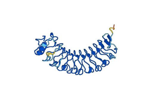 LRG1, N-His, recombinant protein