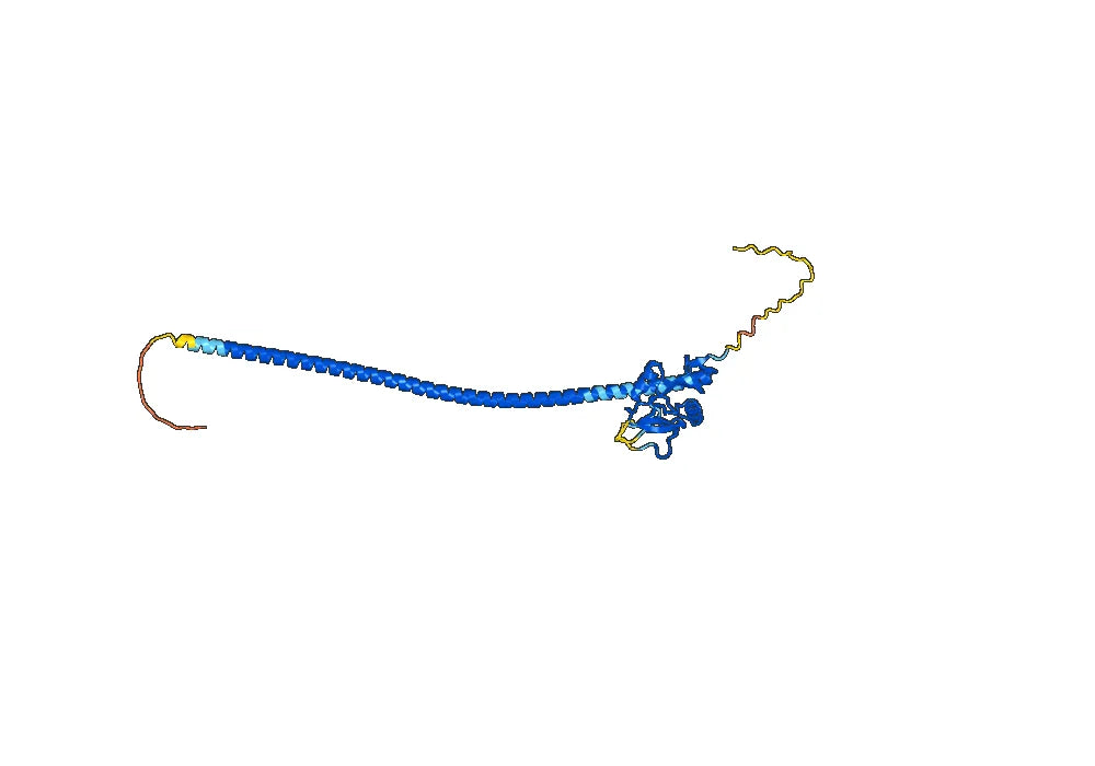 Lumiliximab Biosimilar - Anti-FCER2 mAb - Research Grade
