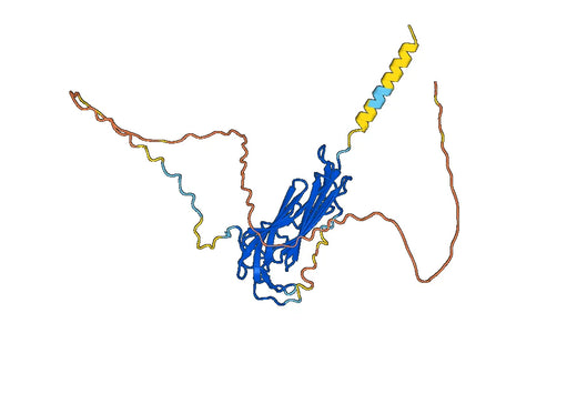 Lupartumab ELISA Kit