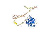 Lutikizumab Biosimilar - Anti-IL1A , IL1B mAb - Research Grade
