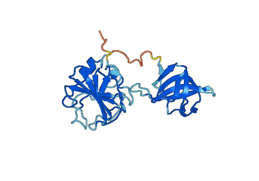 Lysostaphin(lss)