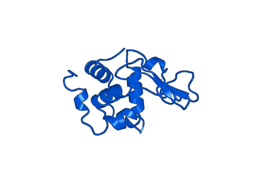 Lysozyme C(LYZ)
