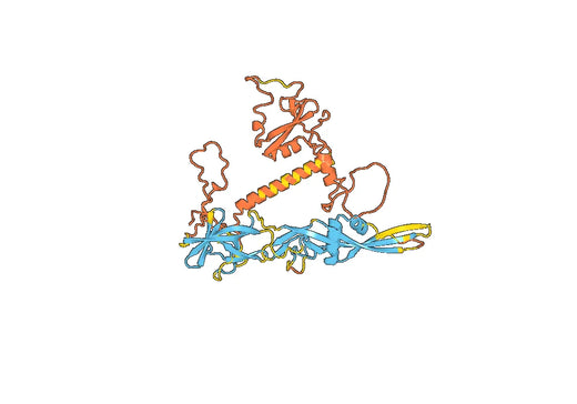 Lyssavirus rabies G recombinant protein