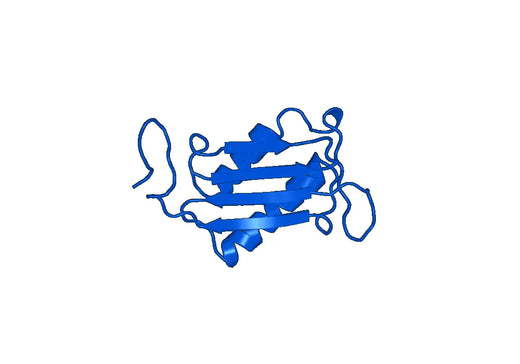 Macrophage migration inhibitory factor(MIF)