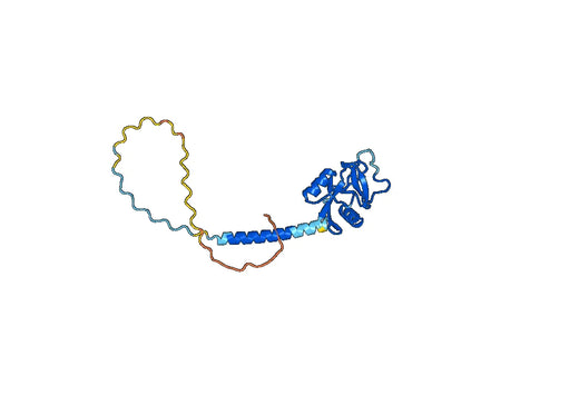 Mannose-binding protein A