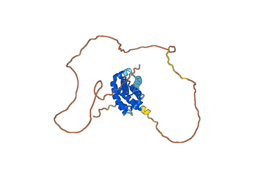 MCL1, N-His, recombinant protein